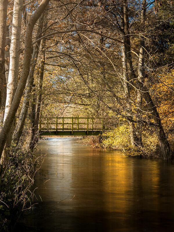 River Lugg at Rockbridge Park photo