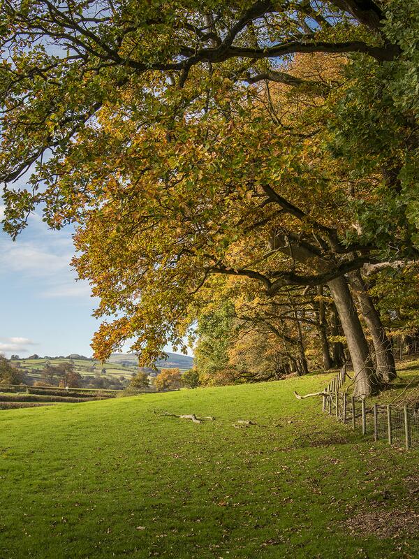 Rockbridge Park in the hills by Presteigne Wales.