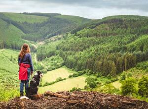 Beautiful rural Wales surroundings