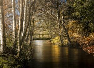 River Lugg running through the park at Rockbridge Country Park in autumn