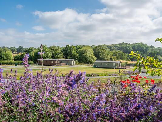 Luxury lodges and holiday homes for sale at Rockbridge Retreat, Wales. Photo of the Retreat