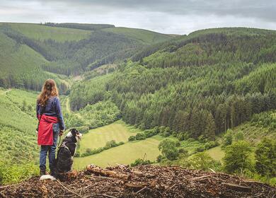 Dog friendly caravan site in Wales dog walking in radnor forest photo