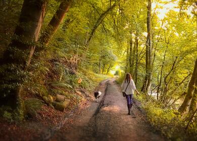 luxury holiday lodges for sale in Wales - walking alongside River Lugg rambling photo