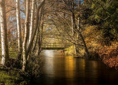 5 star riverside caravan park in Mid Wales river Lugg photo