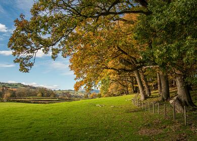 Residential park homes for sale in Wales. Beautiful surrounding countryside