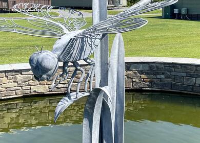 'Dragonfly' Hedge Ironworks sculpture at Rockbridge - photo
