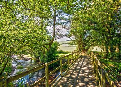 Fishing at Rockbridge Park photo